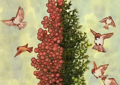 Researchers identified a single gene in sorghum that controls bird feeding behavior
