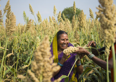 FAO Calls For Boosting Millets To Fight Malnutrition