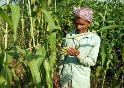 Smallholders cultivating Millets to make their food production climate resilient