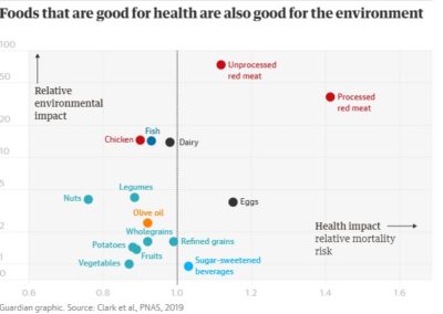 Healthy diet means a healthy planet, study shows