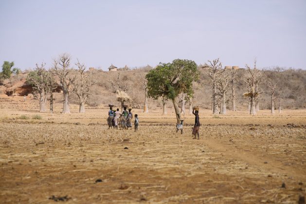 Combating Desertification and Drought – Burkina Faso: Climate Change Triggers Rural Exodus