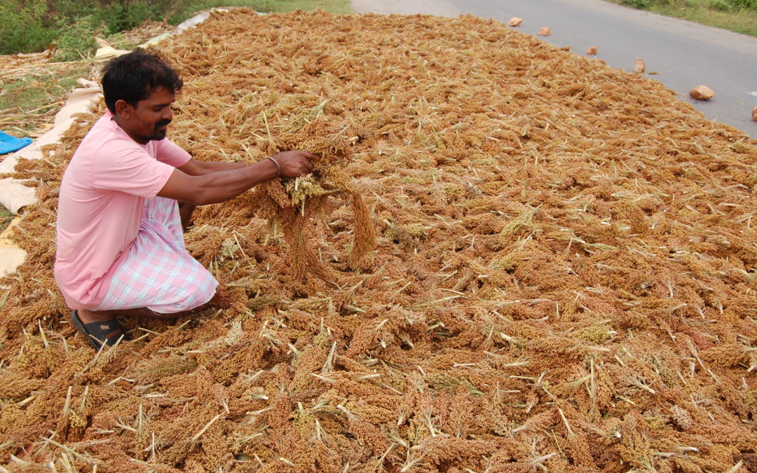 Farming Smart Foods