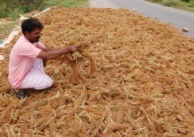 Farming Smart Foods