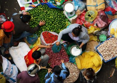 Princeton researchers receive $2.5 million to advance the science of urban food sustainability