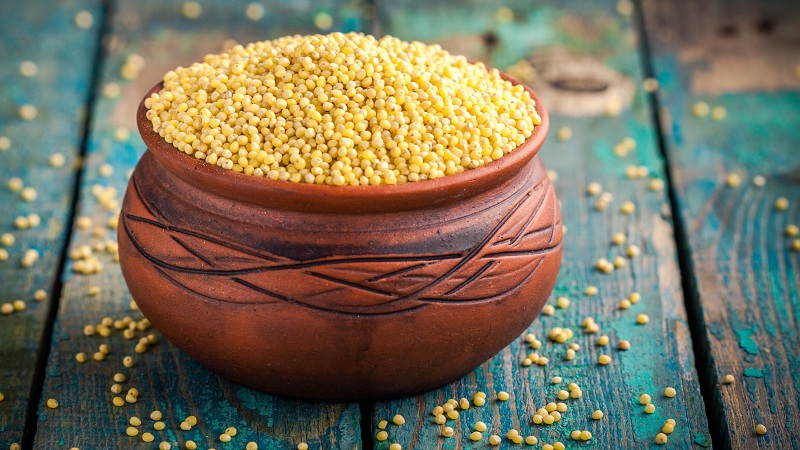 23 Proven Millet Benefits | Health, Skin & Hair | Smart Food 23 Proven Millet Benefits | Health, Skin & Hair | Smart Food