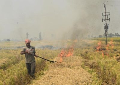 Millets can be a Solution to Delhi’s pollution crisis