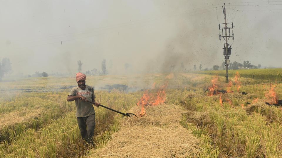 Millets can be a Solution to Delhi’s pollution crisis