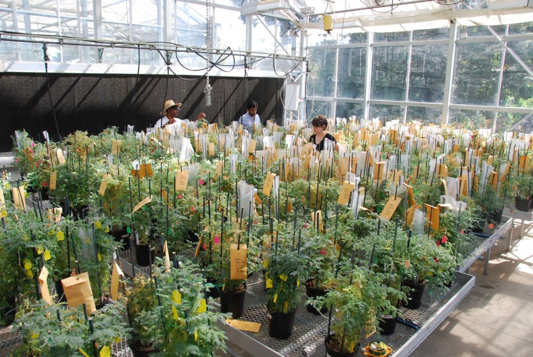 We’re turning to offbeat foods to survive a harsher climate
