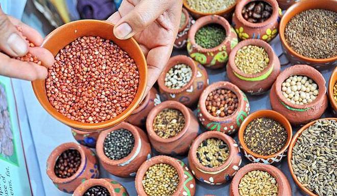 Millets boost growth of adolescent children: Study