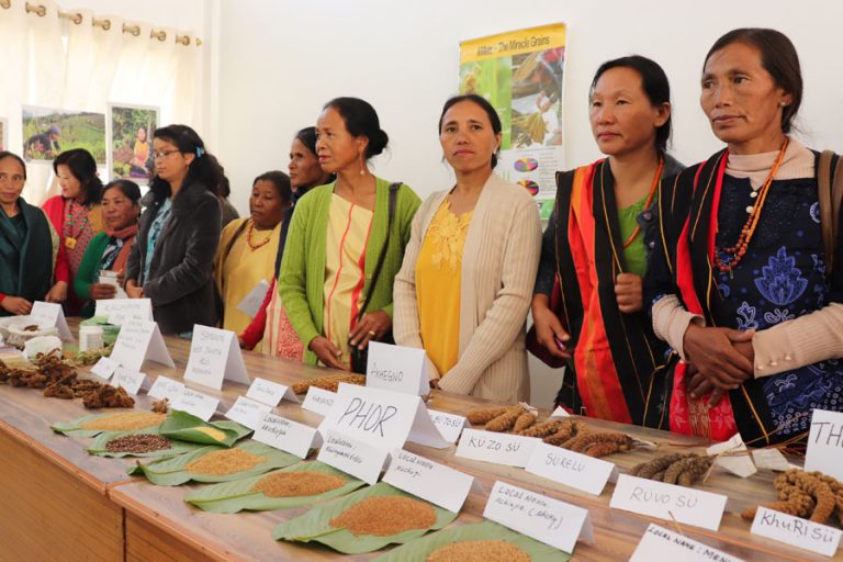 Millet farmers devise mechanism to counter Climate Change