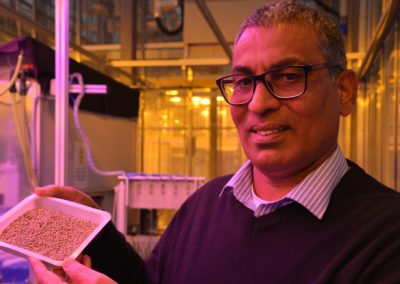 Aberystwyth University scientists awarded funding to tackle diabetes in Africa