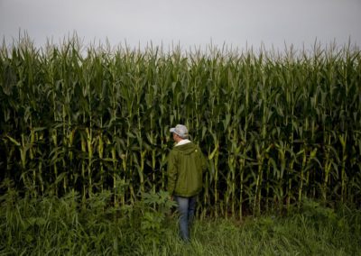 Making Seeds to Withstand Climate Change Is Getting Harder Read more