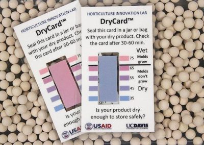 DryCard tech introduced to help sorghum farmers in Ghana