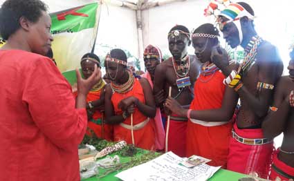 Why we should go back to eating traditional foods