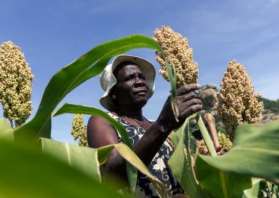 Superfoods Can’t Save Our Broken System – But Smart Food Can