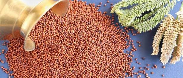Ragi to Riches                                          
