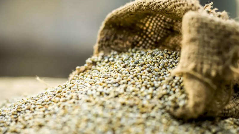 Bajra prices rise on export demand, local consumption Read more at: