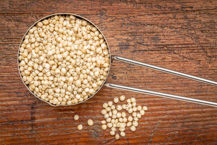 New sorghum varieties beat quinoa for protein content