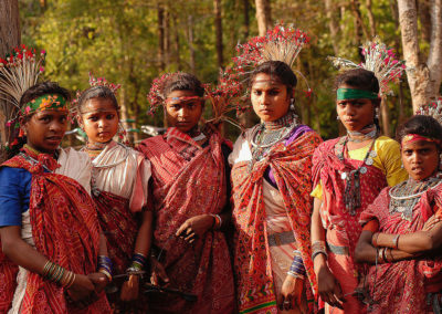 Lessons for Sustainability: Indigenous People and Forests Go Hand in Hand