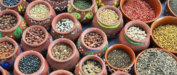 County Unveils COVID 19 Food Plan