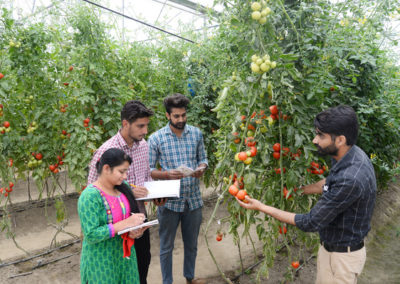 For immunity boost, residents turn to organic food products