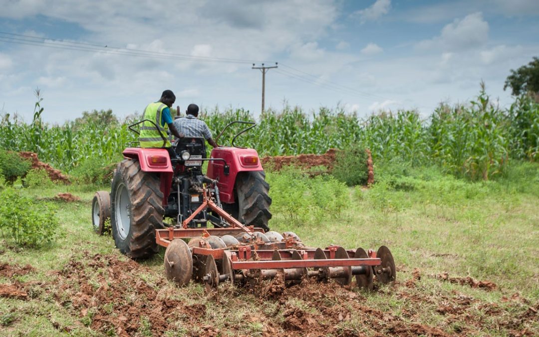 Driving sustainable growth in Nigeria’s agricultural sector
