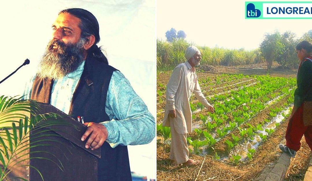 Ex-Journo’s Org Helped Turn 30,000 Farmers Organic in Punjab, Revived Millets