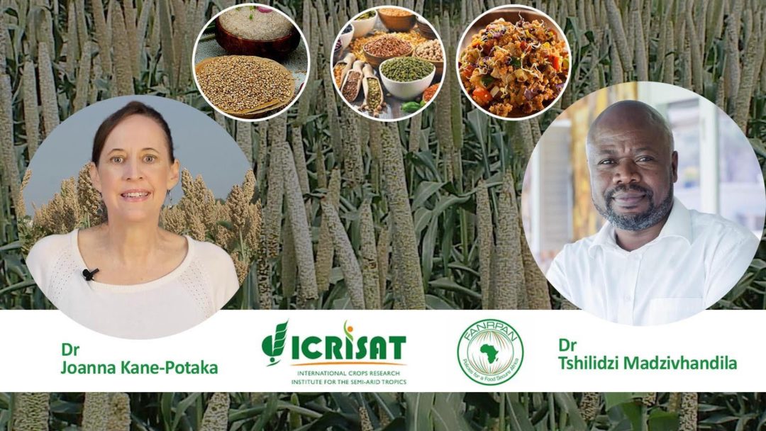 Reshaping Agriculture for Better Nutrition – New Dawn for Millet Crop