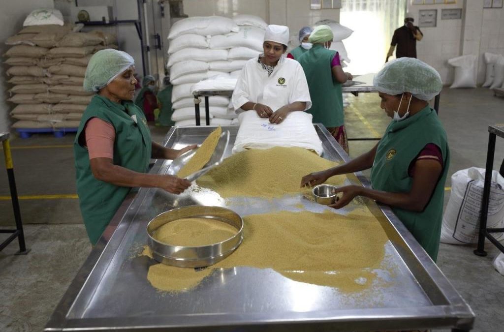 Millet entrepreneurs for GST exemption, options for online selling: Survey