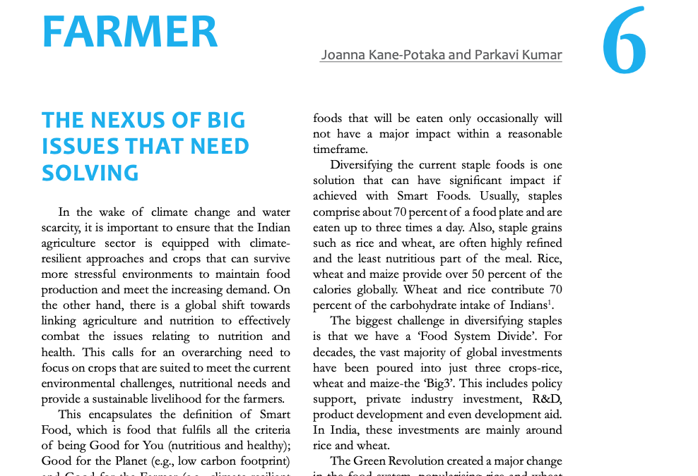 Overview paper – from the “State of India’s Livelihoods Report 2019”