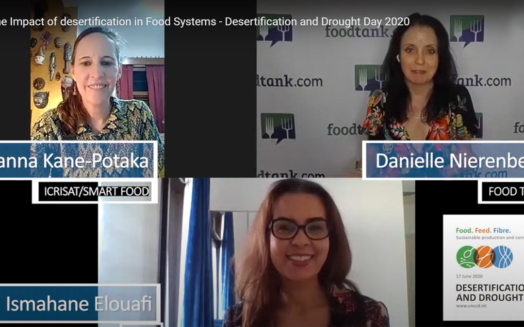 Food Systems Need Urgent Overhaul to Combat Desertification