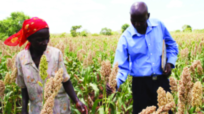 Traditional grains drive now making sense