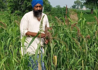 Amid pandemic, farmers growing millets to boost immunity