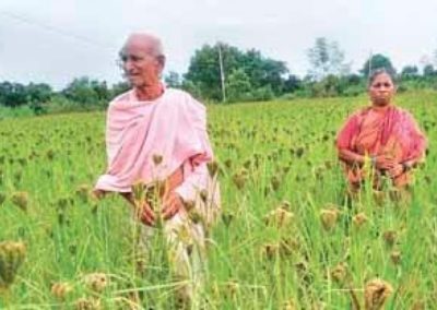Millet outlets in 5 Bargarh blocks by November