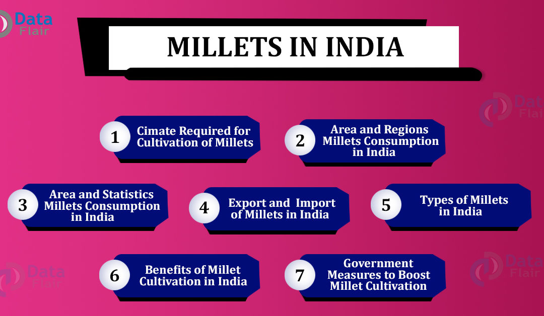Millets in India – Ideal Conditions for Millets Cultivation