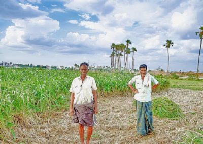 How Malnutrition Defines A Nation’s Health