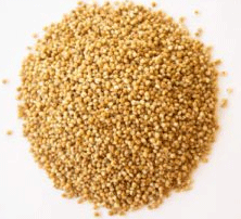 Replicate Odisha Millet Mission                             