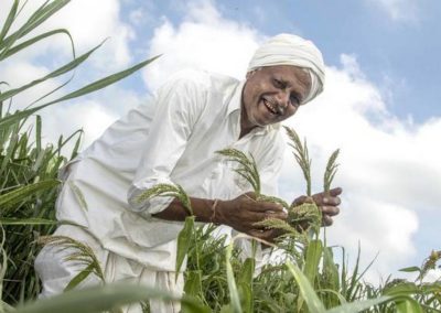 Types of Millets – The Big Deal about Small Grains
