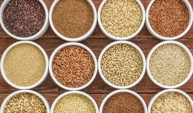 Kodo is more beneficial for health than polished rice sold in the market