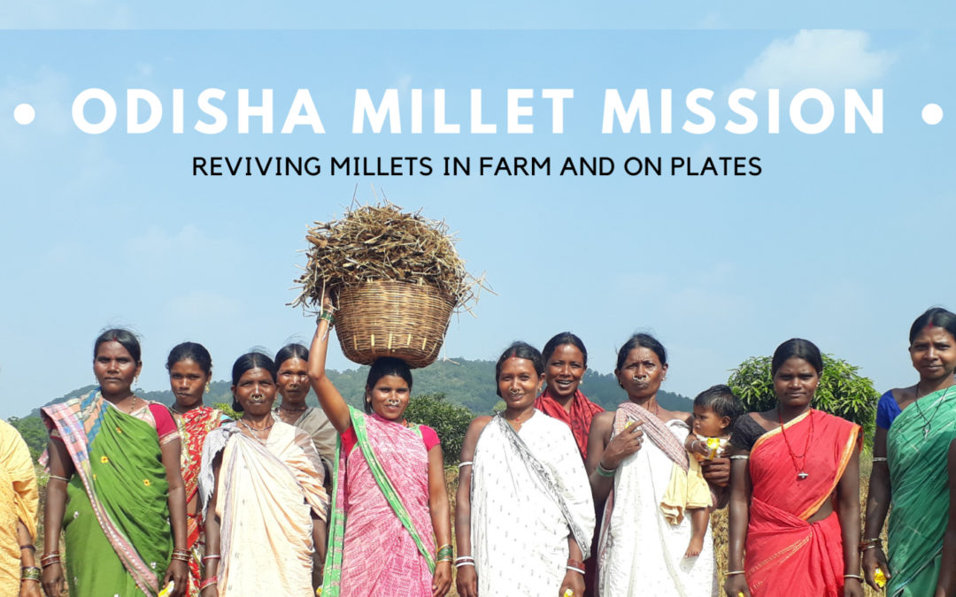 Aayog to States: Replicate Odisha Millet Mission