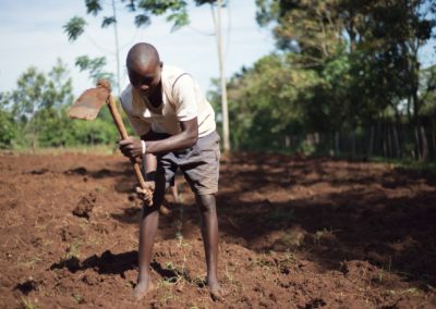 Millet and Sorghum Take Center Stage on Farmers’ Plates