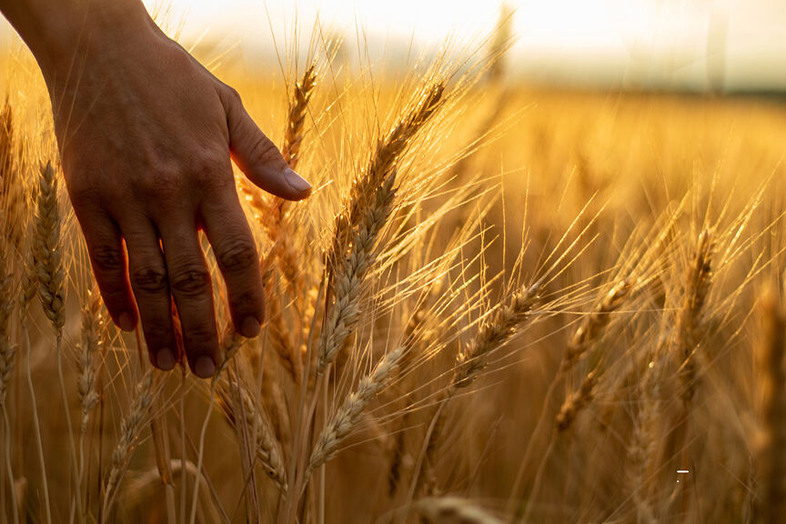 USAID’s Feed the Future initiative marks decade of fighting hunger