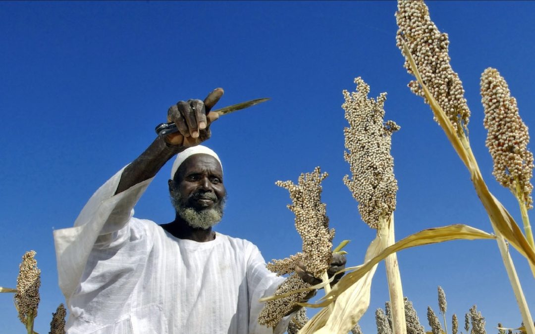 Eating better – for us and the planet                