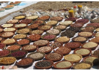 Zimbabwe: Rural Women Adopt Small Grains to Mitigate Climate Change Effects