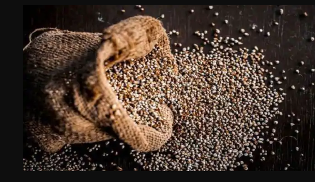 Benefits of Pearl Millet: Include bajra in your diet to rev up your immunity