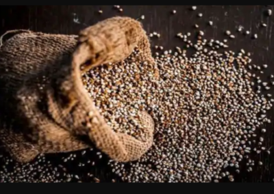 Benefits of Pearl Millet: Include bajra in your diet to rev up your immunity