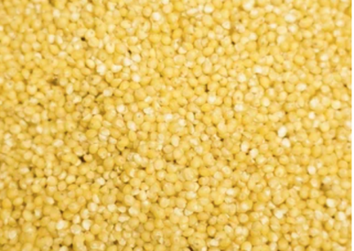 Alvin’s millet by Daybreak Mill