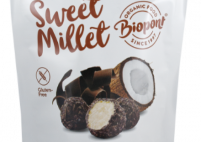 Extruded Millet Ball Covered with Dark Chocolate and Coconut