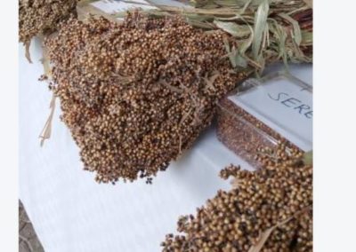 Boast for sorghum farmers following directive of flour blending