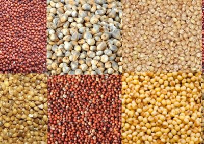 All you need to know about millets      